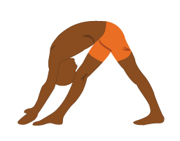 Standing Separate Leg Head to Knee Pose